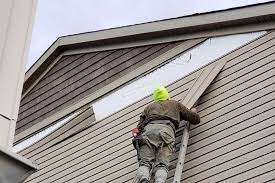 Best Fascia and Soffit Installation  in Matteson, IL